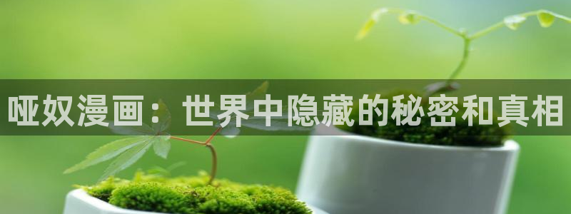 漫蛙漫画网站官网下载
